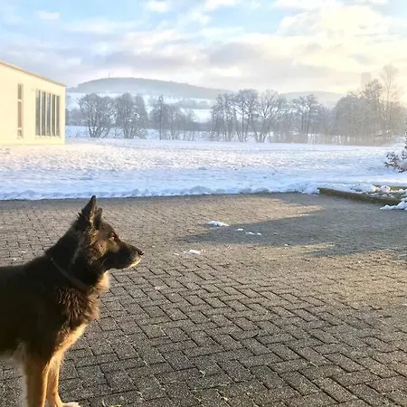 Ferienhaus Talblick Alpenrod Esterno foto