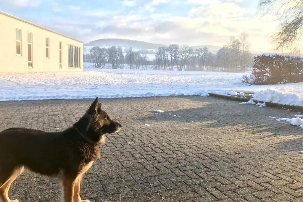 Talblick *